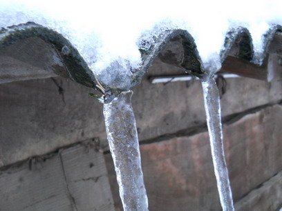 anka anka.jpg, 42 KB