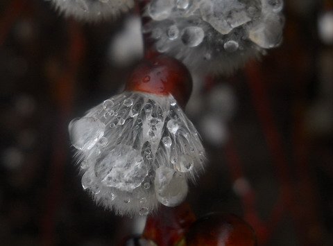 ne plasim se smrti.jpg, 37 KB